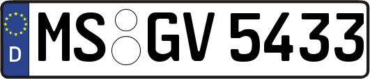 MS-GV5433