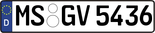 MS-GV5436