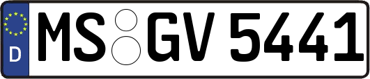 MS-GV5441