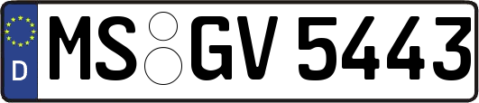MS-GV5443