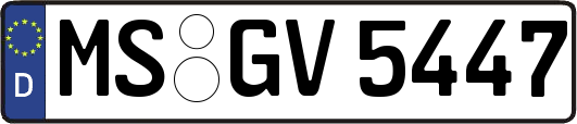 MS-GV5447
