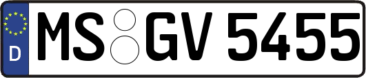 MS-GV5455