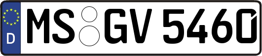 MS-GV5460
