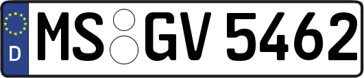 MS-GV5462