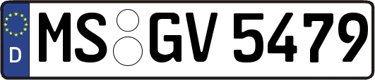 MS-GV5479