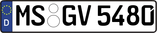 MS-GV5480