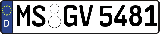 MS-GV5481
