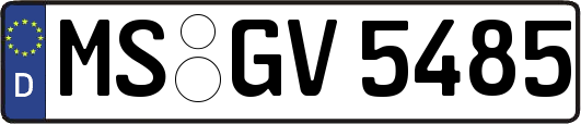 MS-GV5485