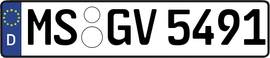 MS-GV5491