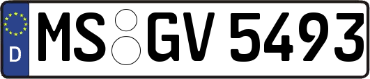 MS-GV5493