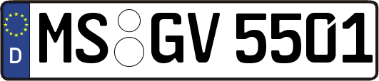 MS-GV5501