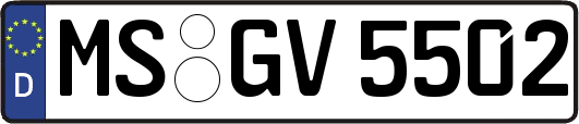 MS-GV5502