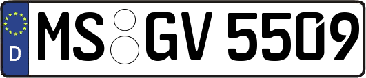 MS-GV5509