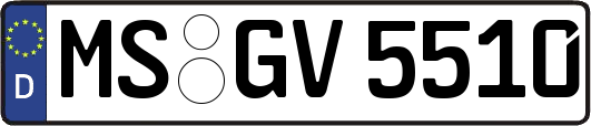 MS-GV5510