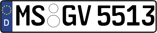 MS-GV5513