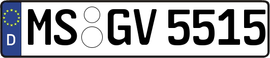 MS-GV5515