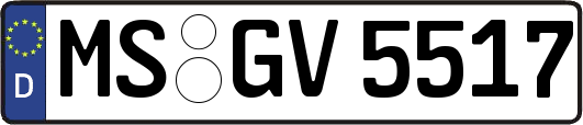 MS-GV5517