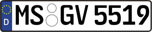 MS-GV5519