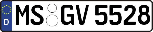 MS-GV5528