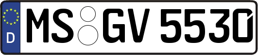 MS-GV5530