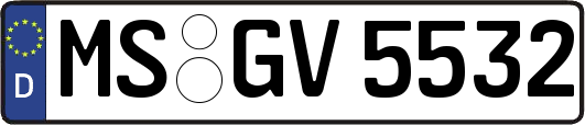 MS-GV5532