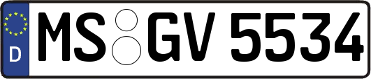 MS-GV5534