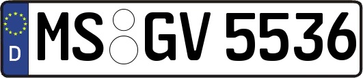 MS-GV5536