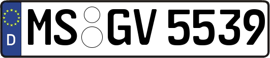 MS-GV5539