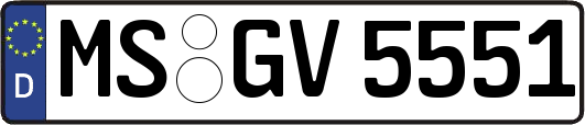 MS-GV5551