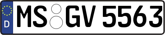 MS-GV5563