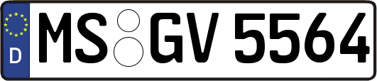 MS-GV5564