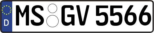 MS-GV5566