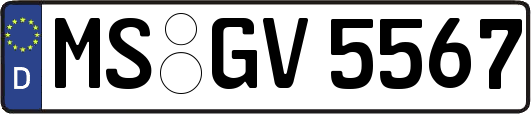 MS-GV5567