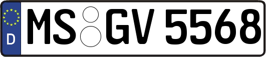 MS-GV5568