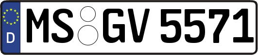 MS-GV5571