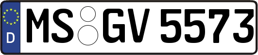 MS-GV5573