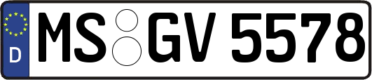 MS-GV5578
