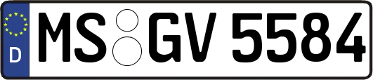 MS-GV5584