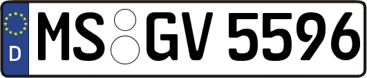 MS-GV5596