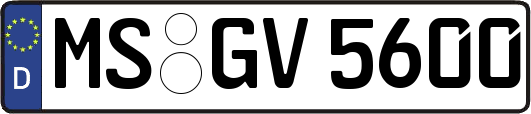 MS-GV5600