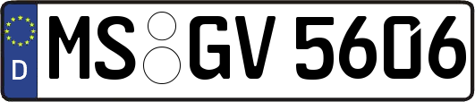 MS-GV5606