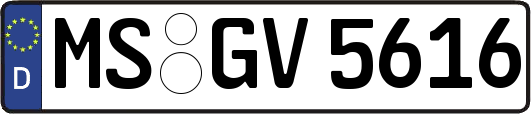 MS-GV5616