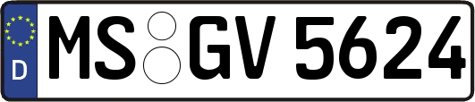 MS-GV5624