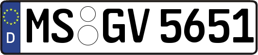 MS-GV5651