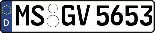 MS-GV5653