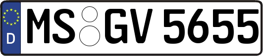 MS-GV5655