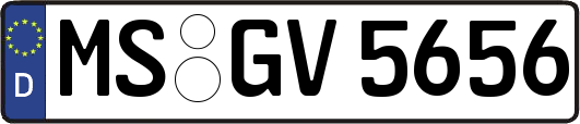MS-GV5656