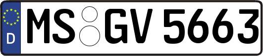 MS-GV5663