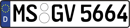 MS-GV5664