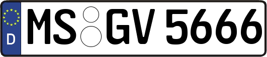 MS-GV5666